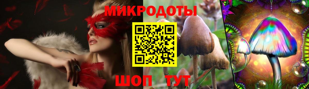 Галлюциногенные грибы Psilocybine cubensis Елизово